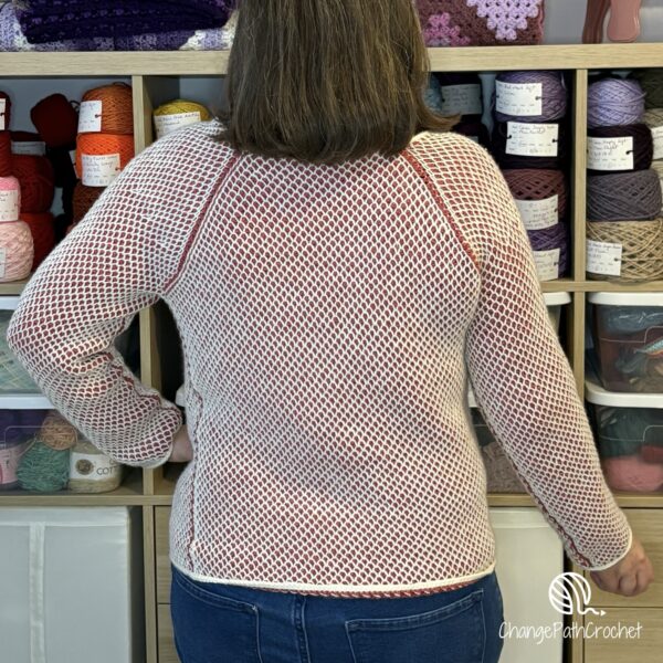Duotone Tunisian Raglan Crochet Pattern